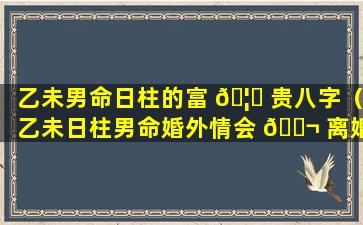 乙未男命日柱的富 🦍 贵八字（乙未日柱男命婚外情会 🐬 离婚吗）